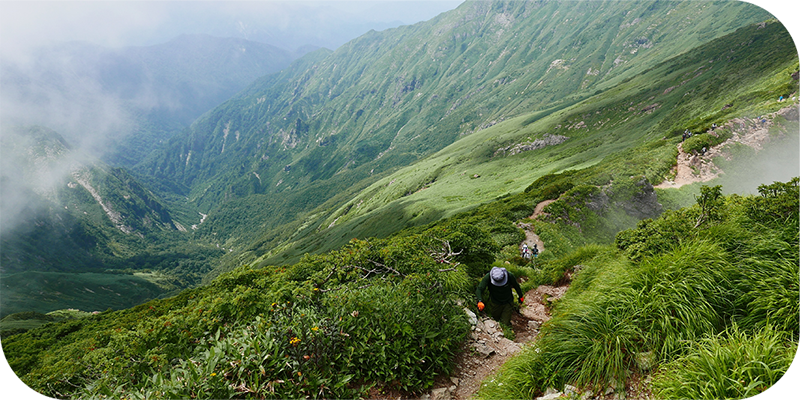 Hikers walking up a narrow path on the side of a rugged green mountain in Japan.